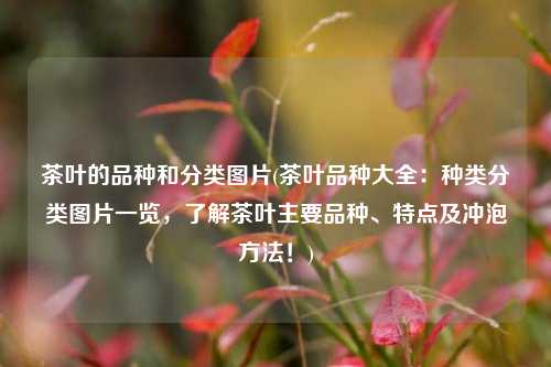 茶叶的品种和分类图片(茶叶品种大全：种类分类图片一览，了解茶叶主要品种、特点及冲泡方法！)