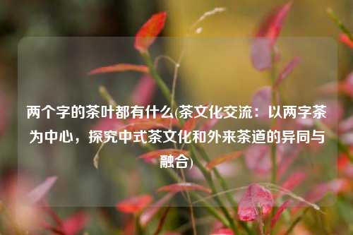 两个字的茶叶都有什么(茶文化交流：以两字茶为中心，探究中式茶文化和外来茶道的异同与融合)