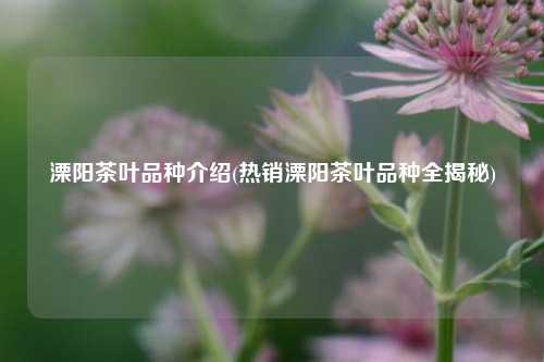 溧阳茶叶品种介绍(热销溧阳茶叶品种全揭秘)