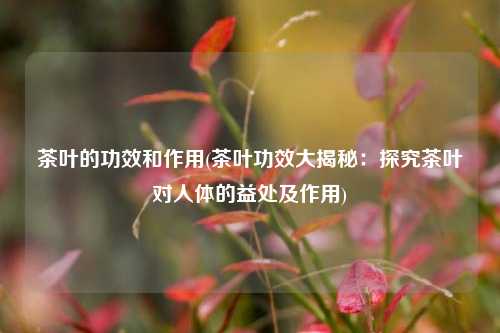 茶叶的功效和作用(茶叶功效大揭秘：探究茶叶对人体的益处及作用)