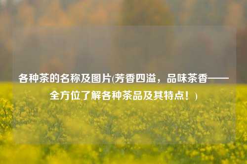 各种茶的名称及图片(芳香四溢，品味茶香——全方位了解各种茶品及其特点！)