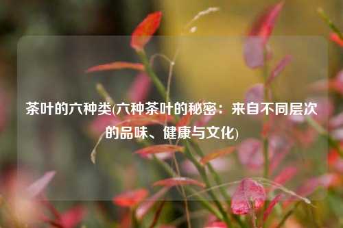 茶叶的六种类(六种茶叶的秘密：来自不同层次的品味、健康与文化)