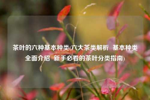 茶叶的六种基本种类(六大茶类解析  基本种类全面介绍  新手必看的茶叶分类指南)