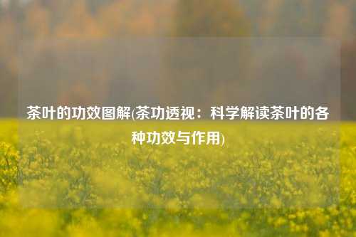 茶叶的功效图解(茶功透视：科学解读茶叶的各种功效与作用)