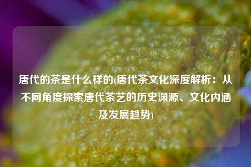唐代的茶是什么样的(唐代茶文化深度解析：从不同角度探索唐代茶艺的历史渊源、文化内涵及发展趋势)
