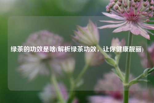 绿茶的功效是啥(解析绿茶功效，让你健康靓丽)