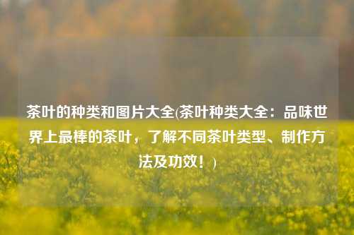 茶叶的种类和图片大全(茶叶种类大全：品味世界上最棒的茶叶，了解不同茶叶类型、制作方法及功效！)
