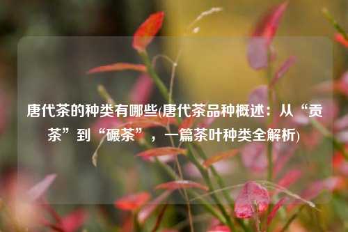 唐代茶的种类有哪些(唐代茶品种概述：从“贡茶”到“碾茶”，一篇茶叶种类全解析)