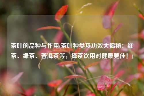 茶叶的品种与作用(茶叶种类及功效大揭秘：红茶、绿茶、普洱茶等，择茶饮用对健康更佳！)