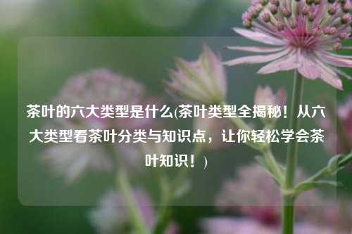 茶叶的六大类型是什么(茶叶类型全揭秘！从六大类型看茶叶分类与知识点，让你轻松学会茶叶知识！)