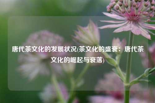 唐代茶文化的发展状况(茶文化的盛衰：唐代茶文化的崛起与衰落)