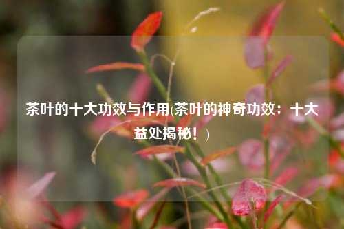 茶叶的十大功效与作用(茶叶的神奇功效：十大益处揭秘！)
