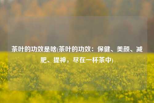茶叶的功效是啥(茶叶的功效：保健、美颜、减肥、提神，尽在一杯茶中)
