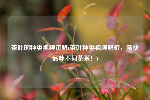 茶叶的种类视频讲解(茶叶种类视频解析，畅快品味不同茶系！)