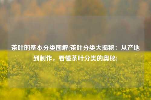 茶叶的基本分类图解(茶叶分类大揭秘：从产地到制作，看懂茶叶分类的奥秘)