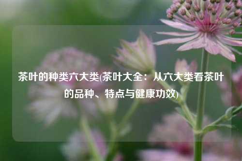 茶叶的种类六大类(茶叶大全：从六大类看茶叶的品种、特点与健康功效)