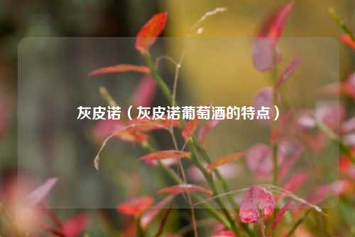 灰皮诺（灰皮诺葡萄酒的特点）