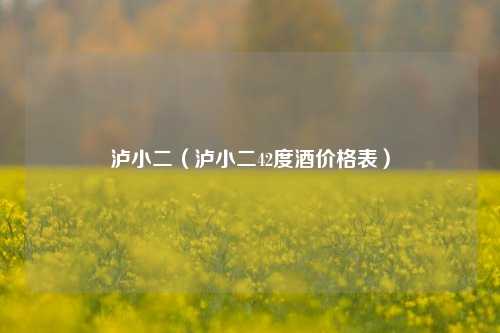 泸小二（泸小二42度酒价格表）