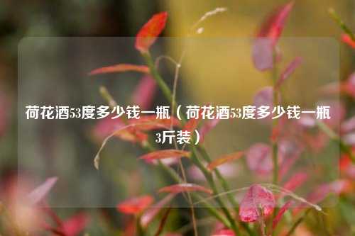 荷花酒53度多少钱一瓶（荷花酒53度多少钱一瓶3斤装）