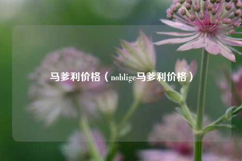 马爹利价格（noblige马爹利价格）