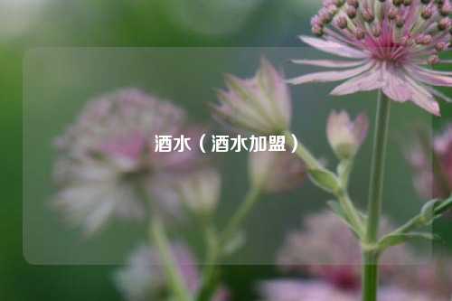 酒水（酒水加盟）