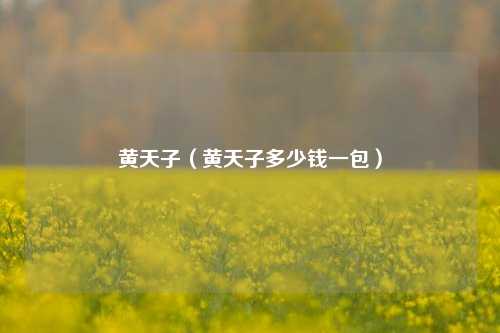 黄天子（黄天子多少钱一包）