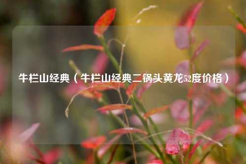 牛栏山经典（牛栏山经典二锅头黄龙52度价格）