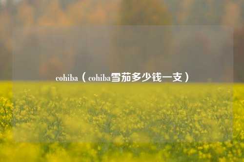 cohiba（cohiba雪茄多少钱一支）
