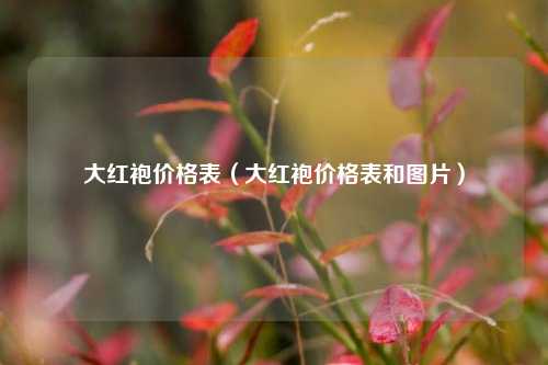 大红袍价格表（大红袍价格表和图片）
