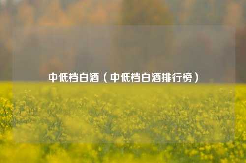 中低档白酒（中低档白酒排行榜）