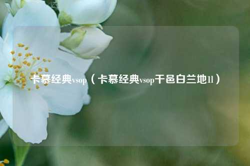 卡慕经典vsop（卡慕经典vsop干邑白兰地1l）