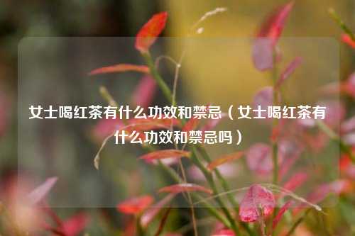 女士喝红茶有什么功效和禁忌（女士喝红茶有什么功效和禁忌吗）