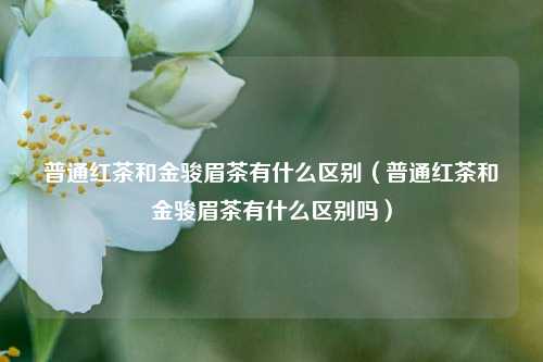 普通红茶和金骏眉茶有什么区别（普通红茶和金骏眉茶有什么区别吗）