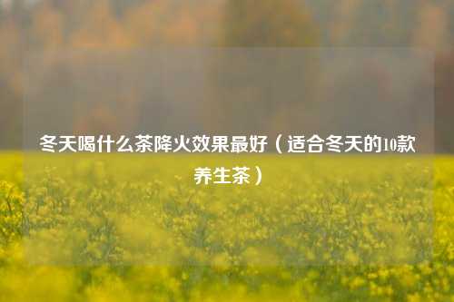 冬天喝什么茶降火效果最好（适合冬天的10款养生茶）
