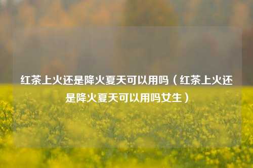 红茶上火还是降火夏天可以用吗（红茶上火还是降火夏天可以用吗女生）