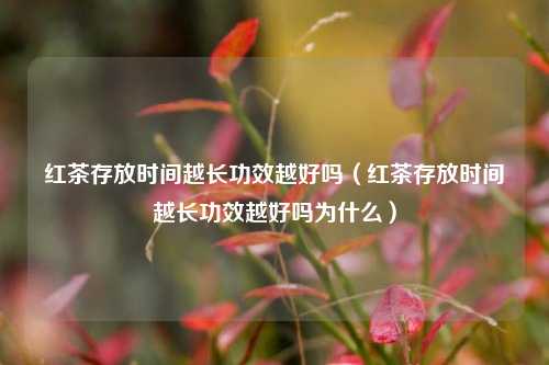 红茶存放时间越长功效越好吗（红茶存放时间越长功效越好吗为什么）