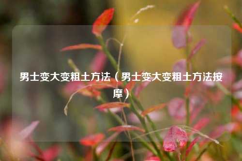 男士变大变粗土方法（男士变大变粗土方法按摩）