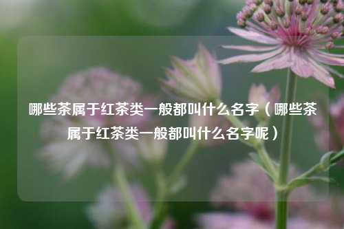 哪些茶属于红茶类一般都叫什么名字（哪些茶属于红茶类一般都叫什么名字呢）
