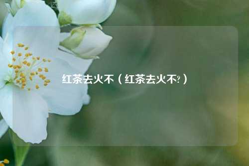 红茶去火不（红茶去火不?）