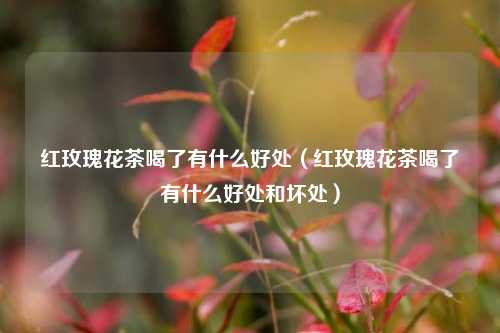 红玫瑰花茶喝了有什么好处（红玫瑰花茶喝了有什么好处和坏处）