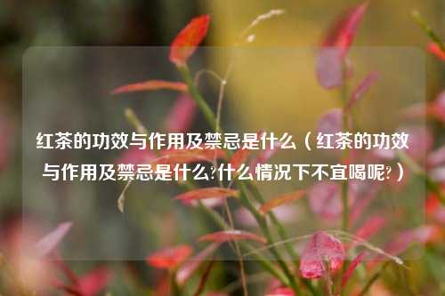 红茶的功效与作用及禁忌是什么（红茶的功效与作用及禁忌是什么?什么情况下不宜喝呢?）