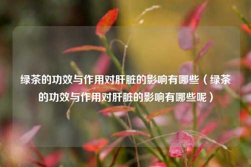 绿茶的功效与作用对肝脏的影响有哪些（绿茶的功效与作用对肝脏的影响有哪些呢）