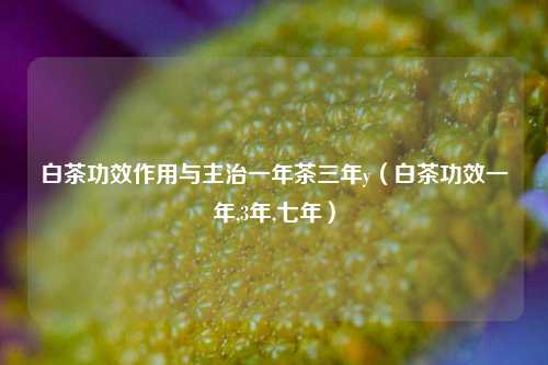 白茶功效作用与主治一年茶三年y（白茶功效一年,3年,七年）