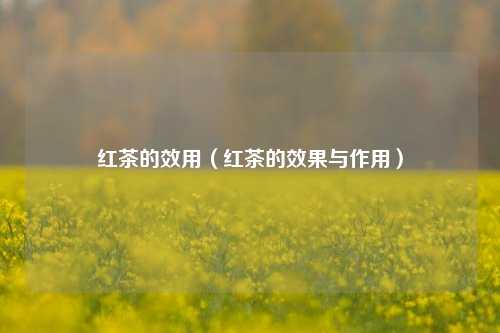 红茶的效用（红茶的效果与作用）