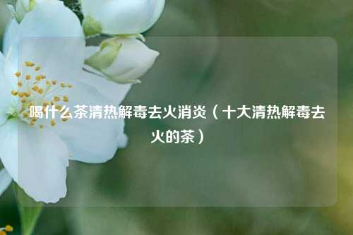 喝什么茶清热解毒去火消炎（十大清热解毒去火的茶）