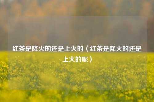 红茶是降火的还是上火的（红茶是降火的还是上火的呢）