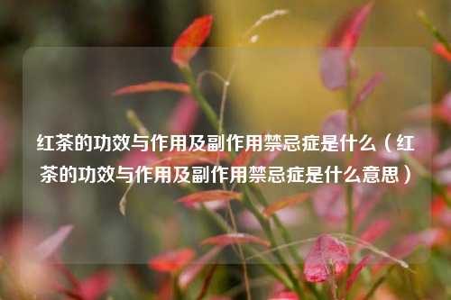 红茶的功效与作用及副作用禁忌症是什么（红茶的功效与作用及副作用禁忌症是什么意思）