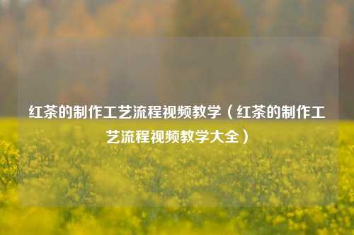 红茶的制作工艺流程视频教学（红茶的制作工艺流程视频教学大全）