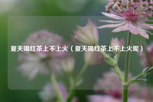 夏天喝红茶上不上火（夏天喝红茶上不上火呢）