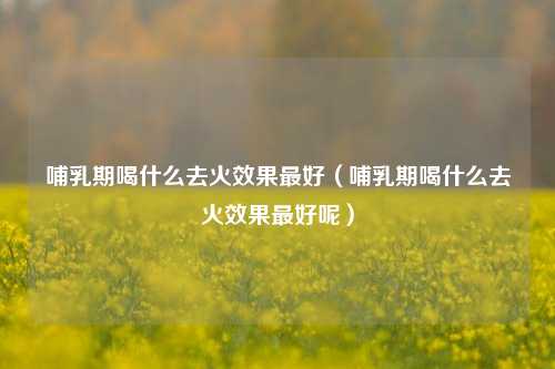 哺乳期喝什么去火效果最好（哺乳期喝什么去火效果最好呢）